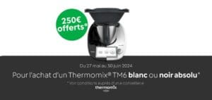 Remise sur le Vorwerk Thermomix TM6