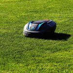 5 conseils pour réussir la dernière tonte avant l’hiver et éviter les erreurs