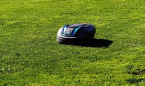 La hauteur idéale pour la dernière tonte est de 5 à 7 cm selon le climat. Elle protège les racines du gel tout en limitant les risques liés à l’humidité. (c) Kapa65 Pixabay