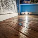 Les meilleurs aspirateurs robots pour poils de chien ou de chat en 2025