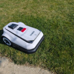 Premier coup de tondeuse : voici le moment parfait pour ne pas rater le démarrage du printemps !