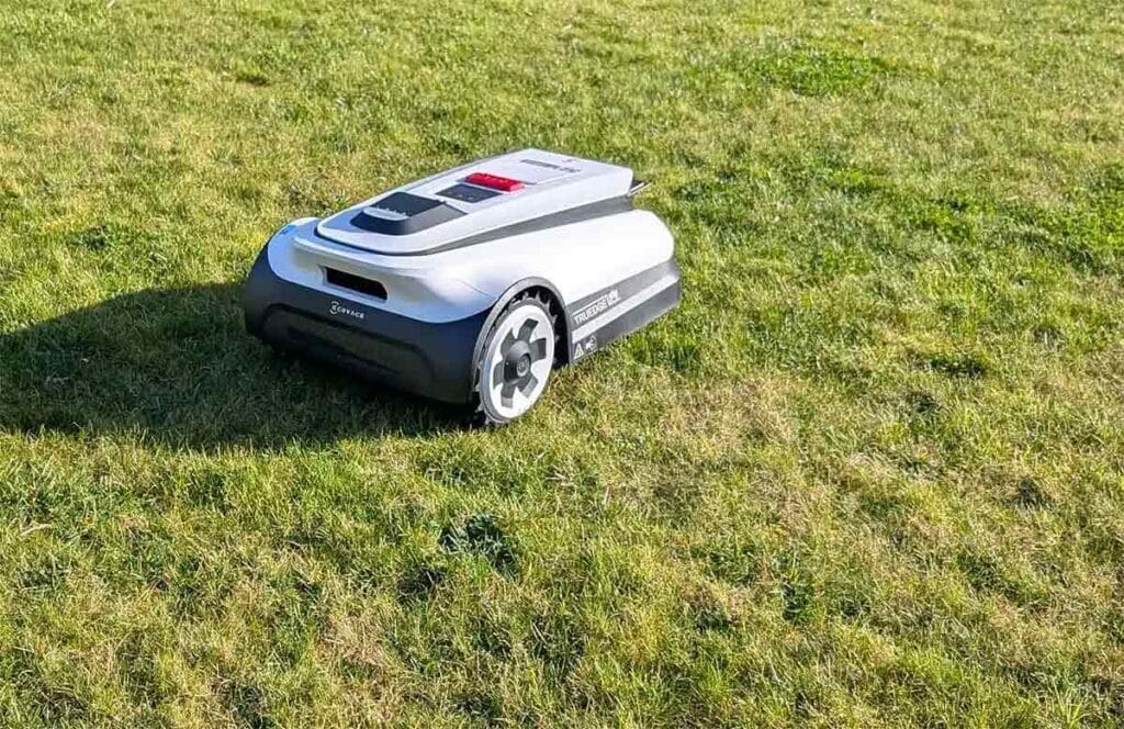 Robot tondeuse sur l'herbe