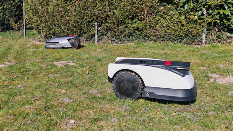 Meilleur robot tondeuse sans fil périphérique 2026 : notre sélection après tests