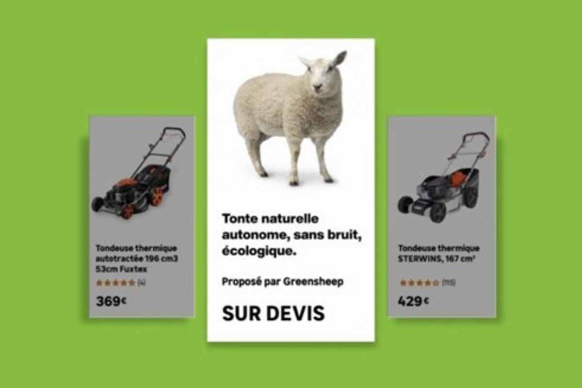 Comparatif entre une tondeuse thermique et un mouton proposé par Leroy Merlin pour l’écopâturage