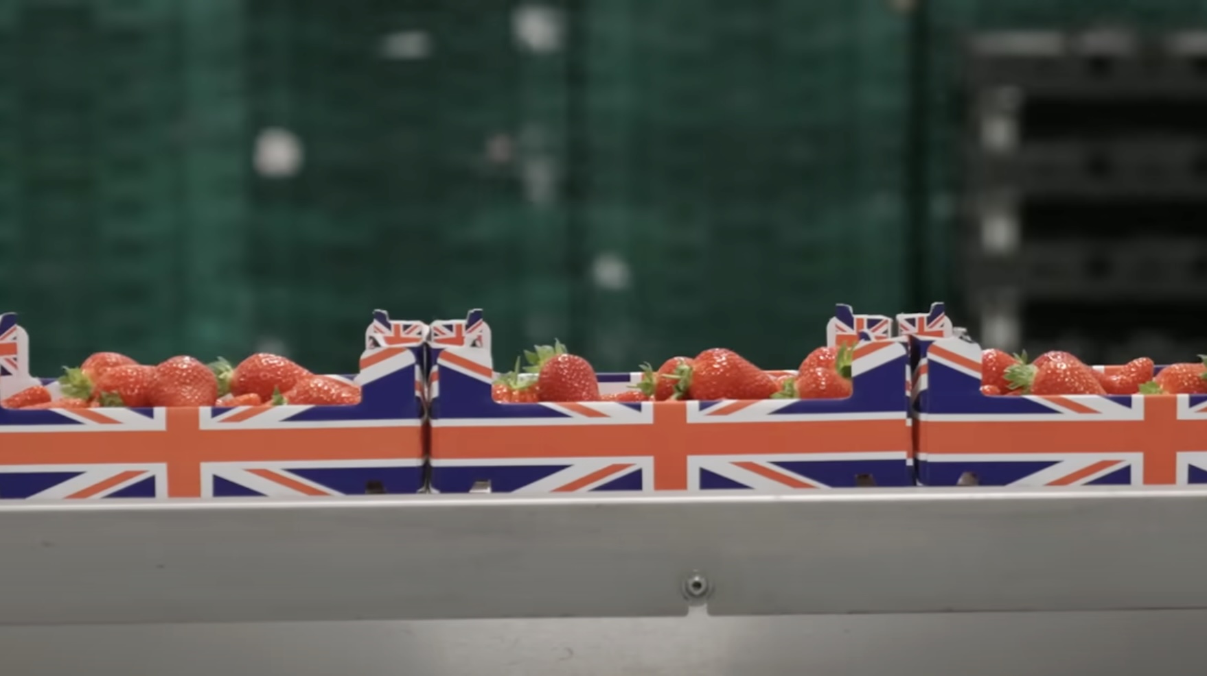 Les barquettes de fraises issues de la ferme Dyson