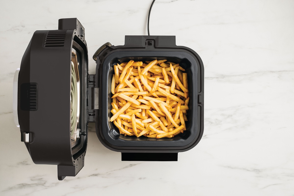 Ninja Speedi ON500EU