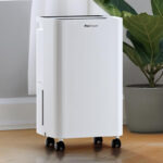 Pro Breeze 6L : -22 % pour éliminer l’humidité sur Amazon