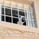 Caméra Tapo C660 Kit fixée à proximité d’une fenêtre pour la surveillance extérieure