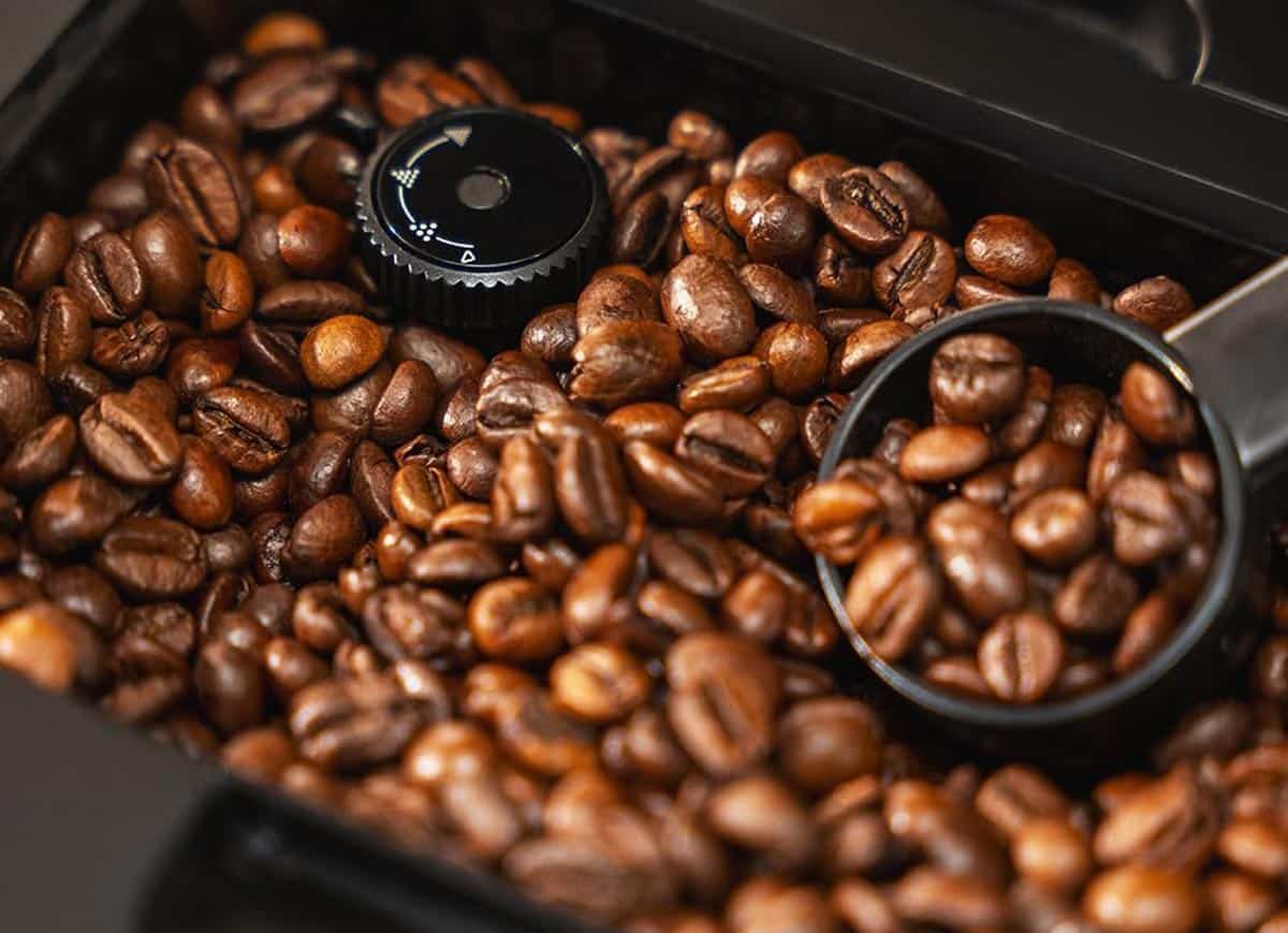 Bac à grains de la Cecotec Cremmaet Latte Touch et capacité de 150 g