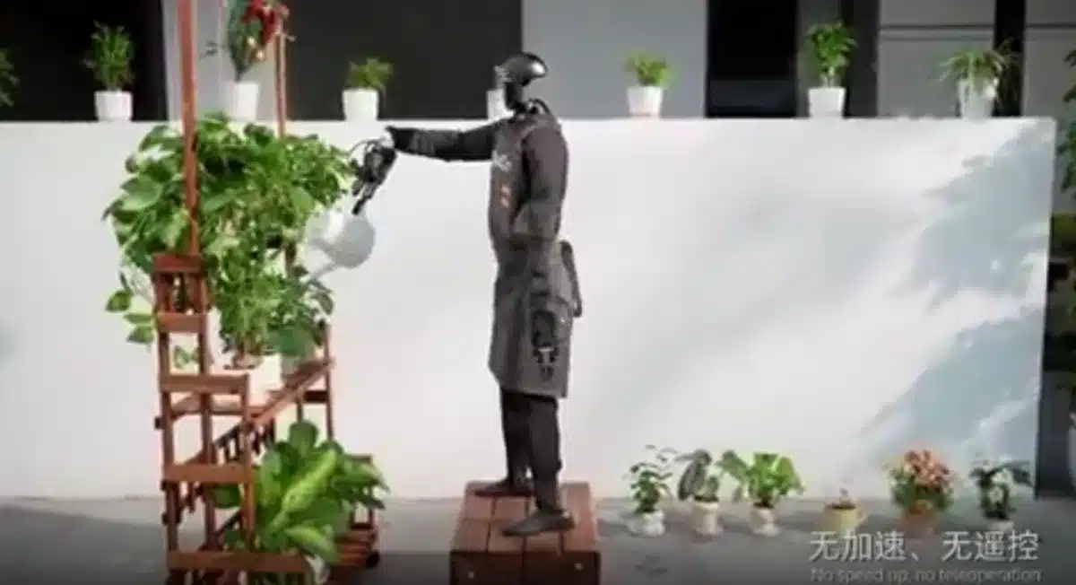 Le G1 arrose des plantes