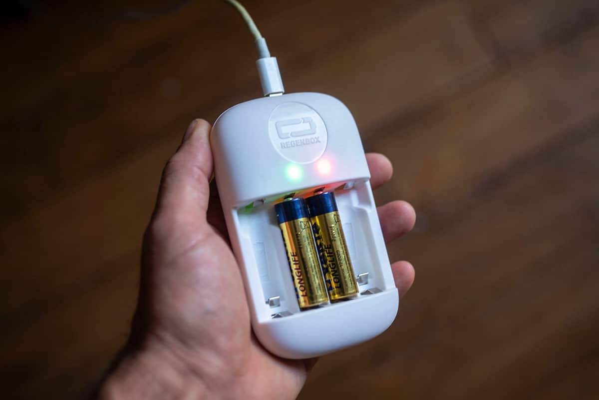 Piles alcalines en cours de régénération dans la RegenBox 2