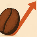 Hausse du prix du café : un grain d’arabica et de robusta symbolisant l’augmentation des cours