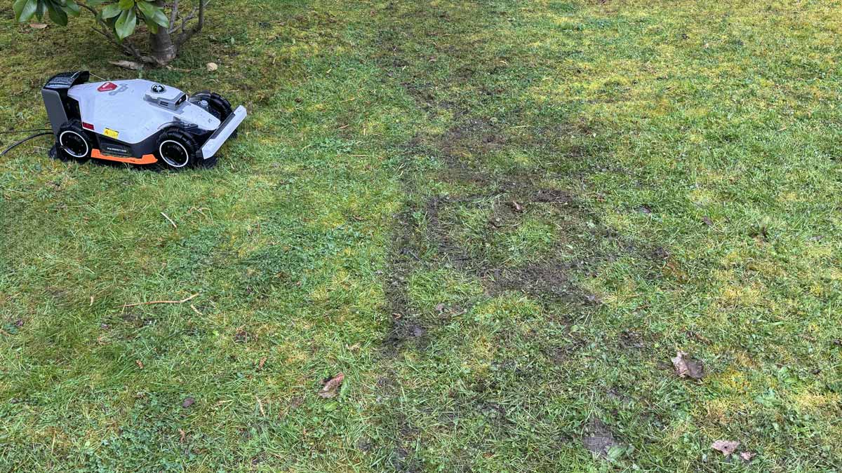 Traces de dérapage et terre arrachée sur le gazon suite aux manœuvres du robot tondeuse Mammotion Luba 3 AWD aux roues encrassées.