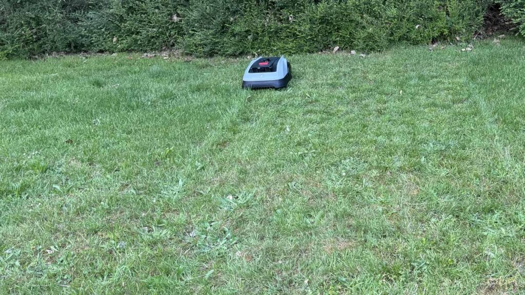 Autonomie du robot tondeuse Ecovacs O600 RTK mesurée lors du test