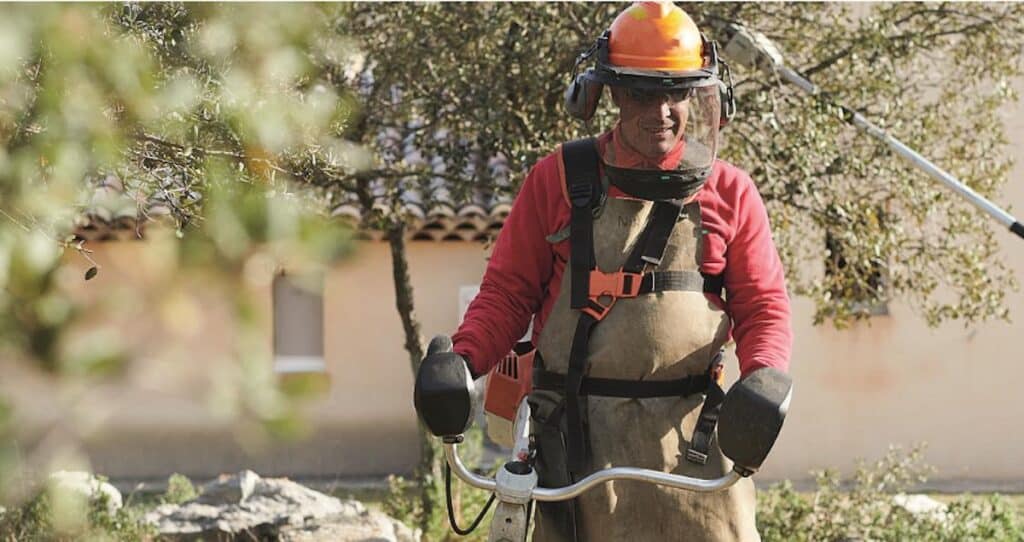 L’importance du débroussaillement dans la prévention des feux de forêt. © ONF