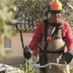 L’importance du débroussaillement dans la prévention des feux de forêt. © ONF