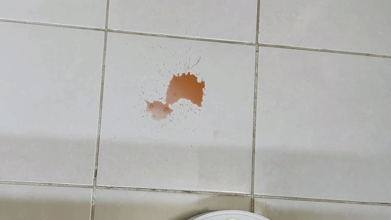 Gif montrant le robot laver les liquides renversés au sol