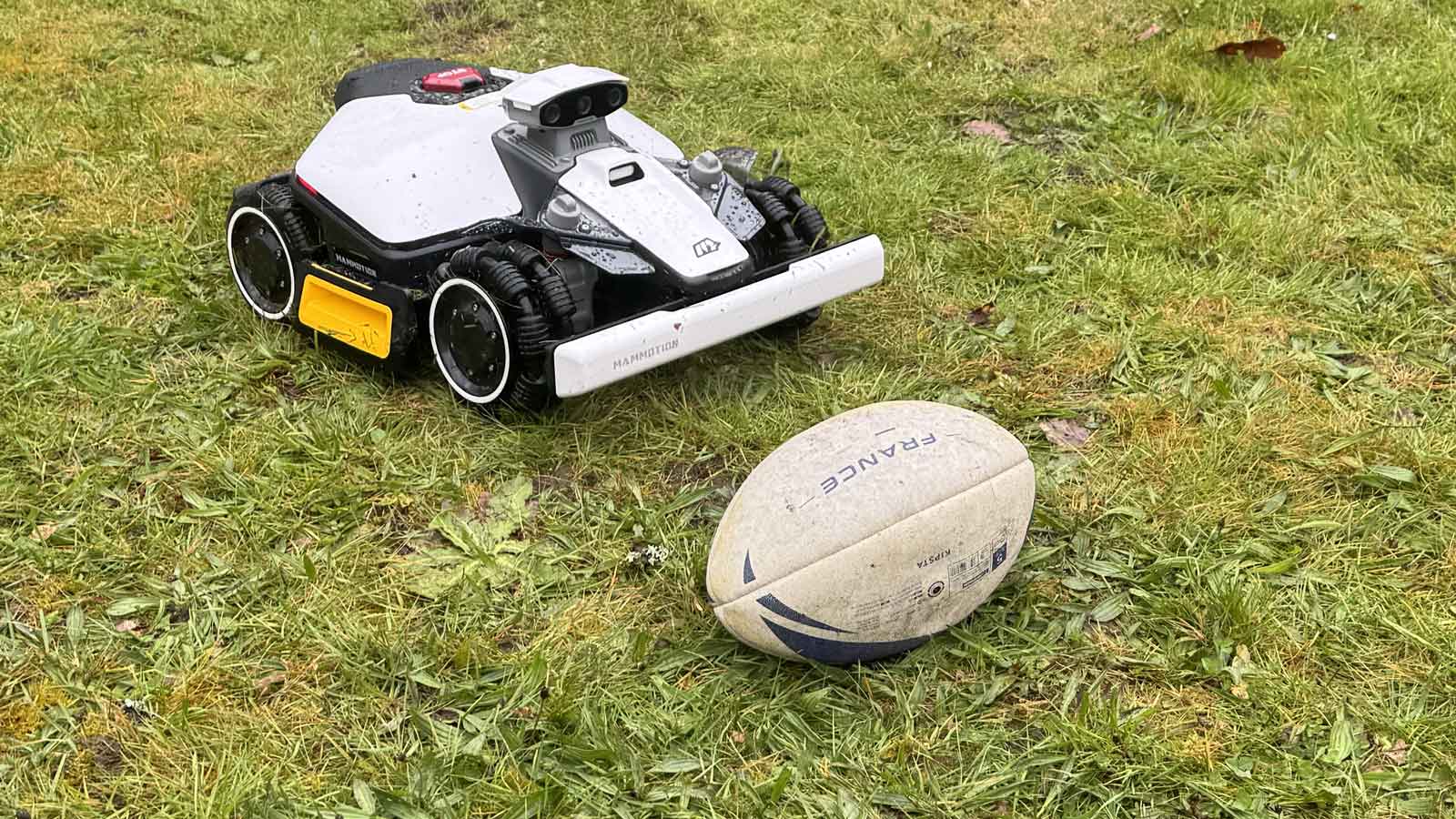 Robot tondeuse Luba Mini 2 AWD contournant un ballon posé sur la pelouse