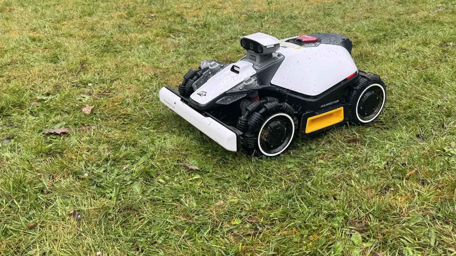 Robot Luba Mini 2 AWD à l’arrêt devant une grosse touffe d’herbe