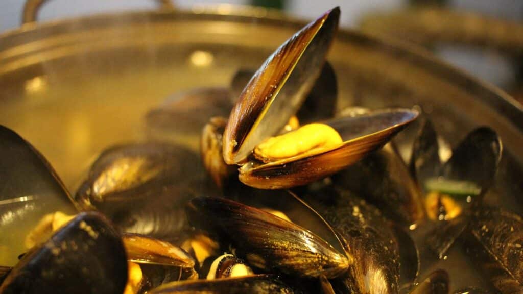 Casserole remplie de moules, illustrant le rappel sanitaire des moules de l'île Dumet commercialisées par les magasins U.