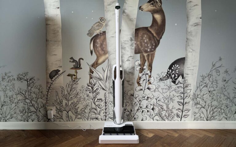 Rowenta X-Clean 12