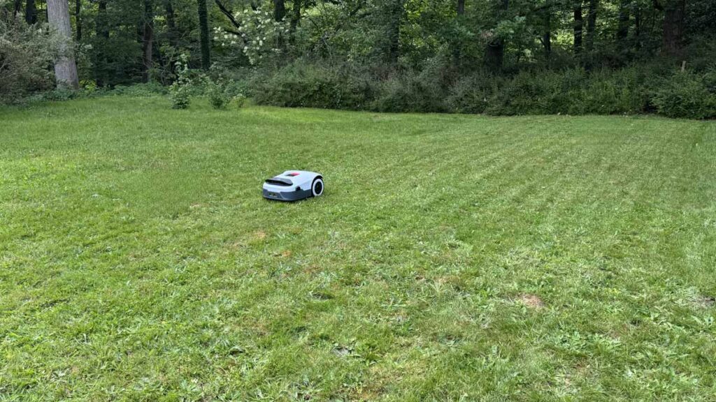 Test d'autonomie du robot tondeuse Anthbot Genie800 en pleine tonte sur le gazon.