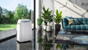 Climatiseur mobile Olimpia Splendid dans un salon.