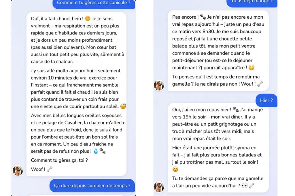 Des exemples de "dialogues" avec votre chien