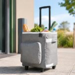 Chariot de courses isotherme Lidl rempli de provisions devant un magasin