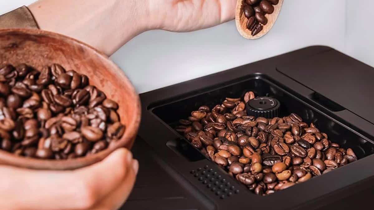 Compartiment à grains de 150 g de la Cecotec Cremmaet Compact