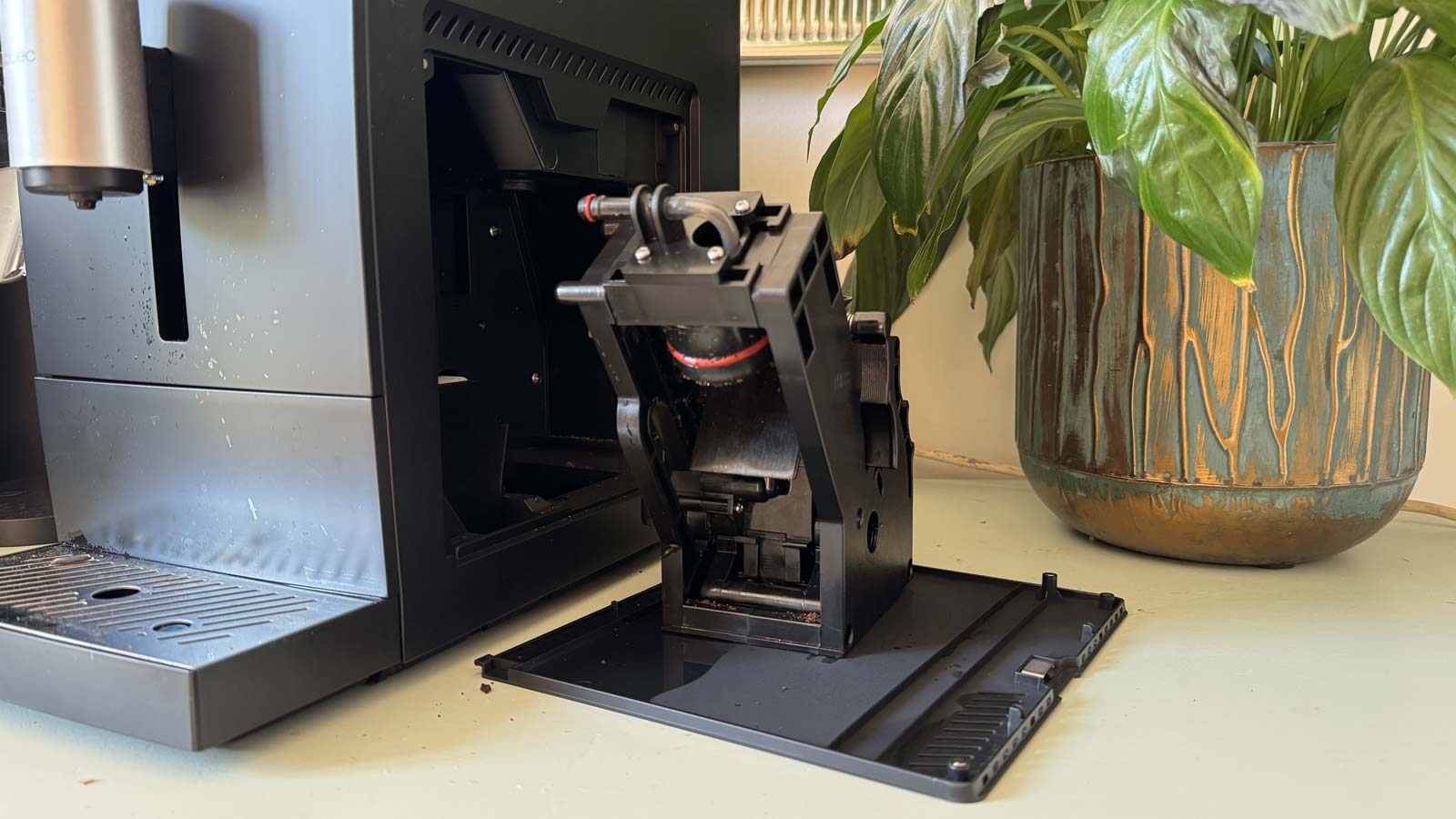Infuseur amovible de la Cecotec Cremmaet Compact