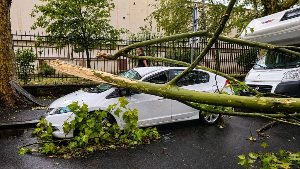 Arbre tombé sur une voiture après un violent orage