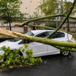 Arbre tombé sur une voiture après un violent orage