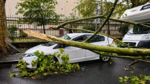 Arbre tombé sur une voiture après un violent orage