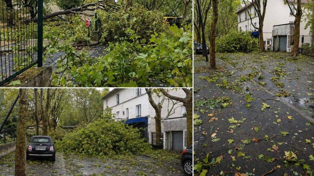 Arbres et branches tombés après les orages dans le Val-de-Marne
