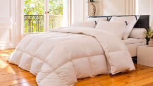 Couette naturelle 90 % Duvet Alpes Blanc