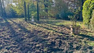 Une pelouse retournée par des sangliers © Labo Maison