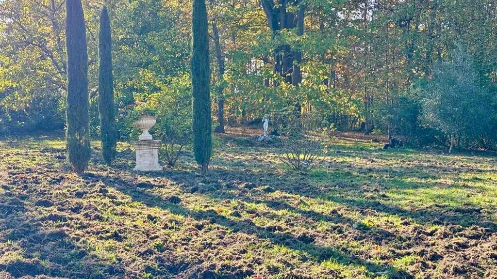 Une pelouse retournée par des sangliers © Labo Maison