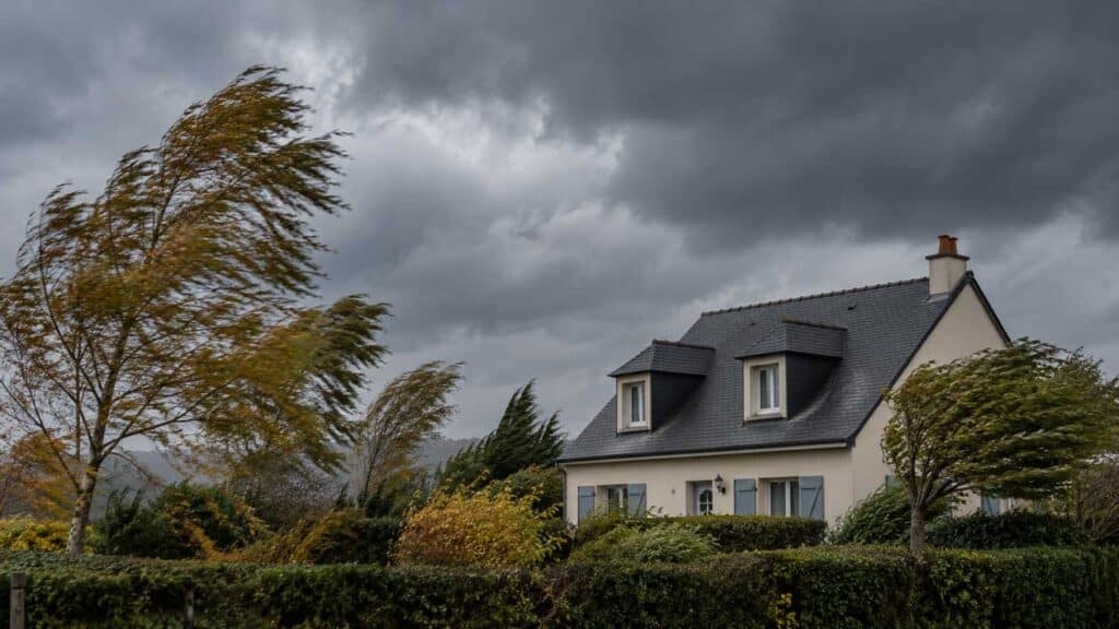 Maison et arbres balayés par des vents violents.