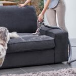 Dyson Cinetic Big Ball Absolute 2 utilisé sur un canapé gris dans un salon, un chat passant devant