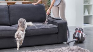 Dyson Cinetic Big Ball Absolute 2 utilisé sur un canapé gris dans un salon, un chat passant devant